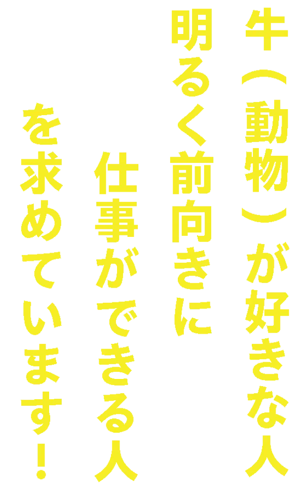 一緒に働く人を大募集！具体的にどんなお仕事をするの？