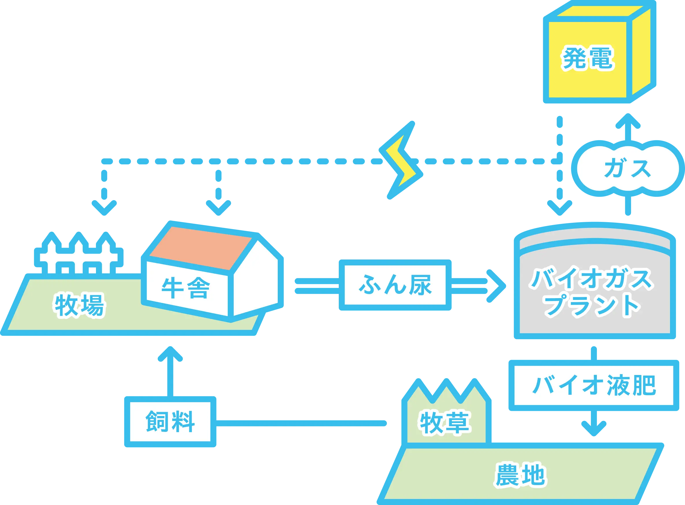 バイオガスプラントによるふん尿処理